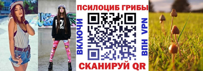 Псилоцибиновые грибы Magic Shrooms  Устюжна 